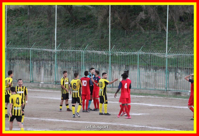 181111 Cepha_Milazzo 295_tn.JPG